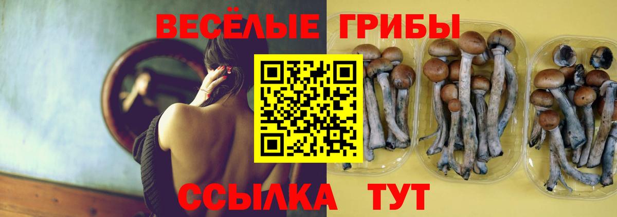 Галлюциногенные грибы Magic Shrooms  Галлюциногенные грибы Psilocybine cubensis  Вход с VPN  Муром 